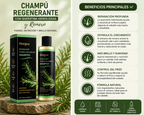 Champú Regenerante con Queratina y Romero HOEGO – Reparación y Brillo Natural (100 ml)